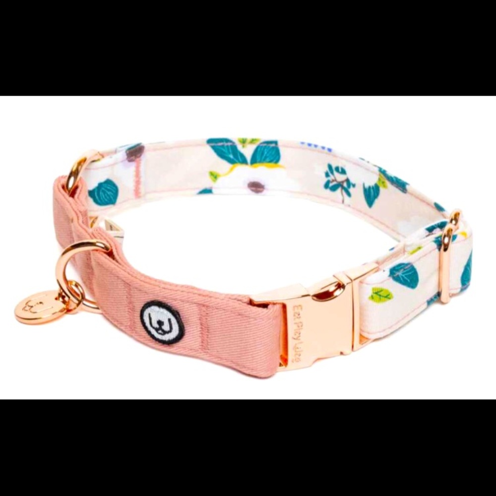 Eat Play Wag Dog Collar (Size:Small)